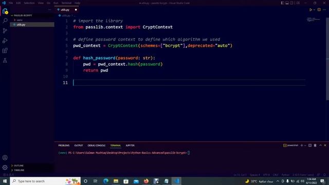 Password hashing using Passlib BCrypt Algorithm | #python #hashing #security