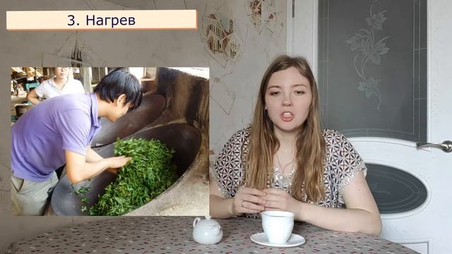Как делают зеленый чай? | Технология производства зеленого чая | Чайгород