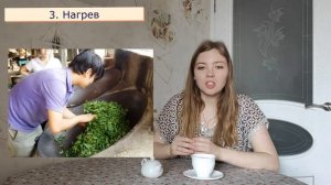 Как делают зеленый чай? | Технология производства зеленого чая | Чайгород