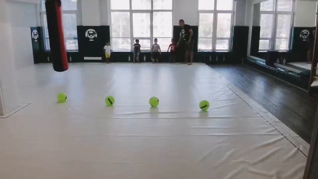 Боевые панды, школа единоборств, ufc, карате, самбо, физкультура, малышиучатся, мистермакс, борьба.