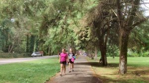 Новый проект