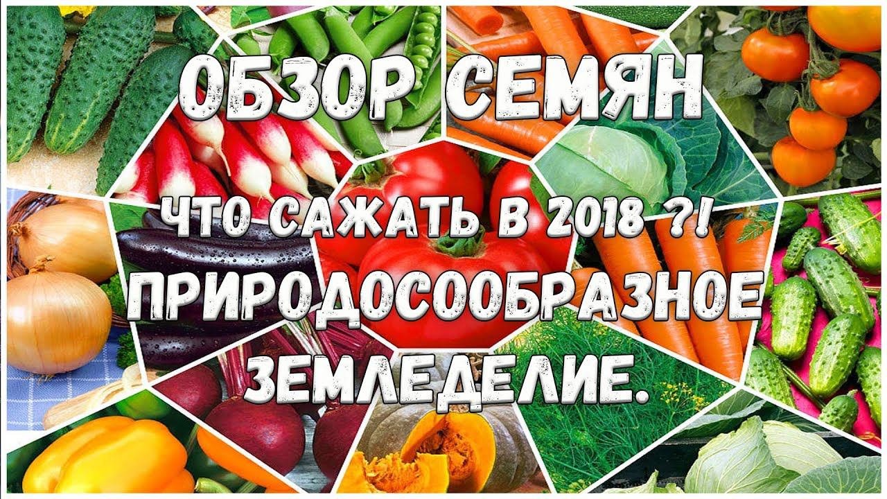 Обзор семян // Что сажать? // Планы на 2018 г // Природосообразное земледелие //  Жизнь в деревне