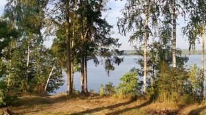 СУПЕР РЫБАЛКА 2020. ДЕСНОГОРСК.КРЕВЕТКИ.
