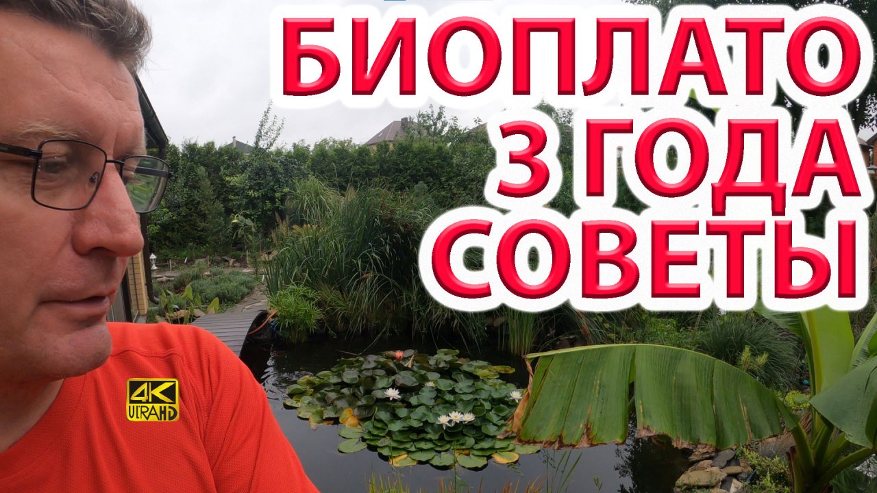 Биоплато пруда спустя 3 года. Делимся опытом.