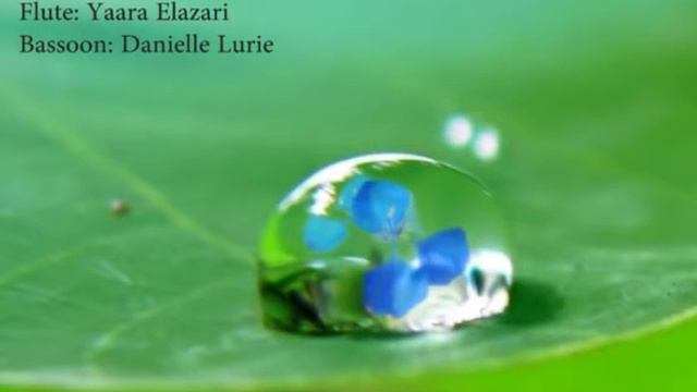 Georg Philipp Telemann - Canonic Sonata - Flute and Bassoon смотреть онлайн