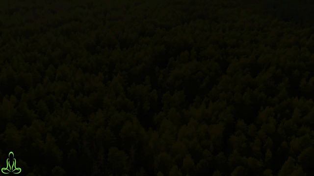 Успокаивающая музыка для нервов #6🌿Звуки леса - Щебетание - Успокаивающая музыка снимает стресс