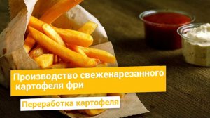 Бельгийское производство картофеля фри для поставок в кафе и рестораны