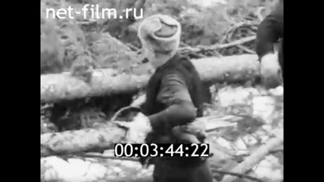 1970г. Поросозерский леспромхоз. Селищев Василий Иванович. Карелия