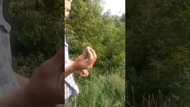 стекло автомобиля И кусок свечи смотреть онлайн