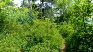 КЕМПИНГ в СОЧИ дикий пляж Уч-Дере