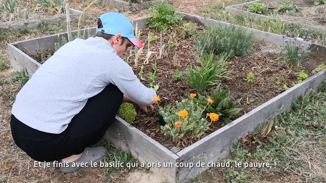 Saints de glace : un vent de fou ! Tuteurs pour les tomates et nouvelles palettes pour la cuve. смотреть онлайн