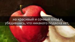 Хорошая Притча про Учитель с Учеником