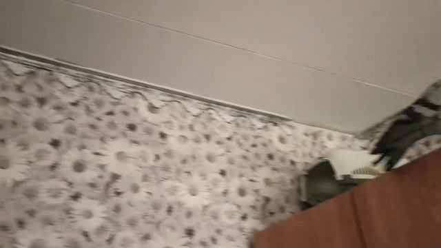 22.11.23. Кукурузные палочки для голубей?! / Снова жалуюсь на Валеру смотреть онлайн