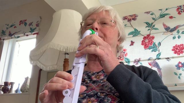 4 Notes Hairy Scary for Nuvo jSax. Perform on BAG and E смотреть онлайн