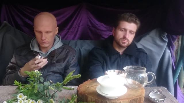 Чай из трав - завариваем Саган Дайля (Тибетское белое крыло) в гайвани смотреть онлайн