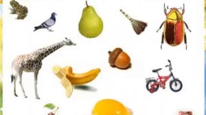 Русский язык 1 класс. Тема:Буква Ж.