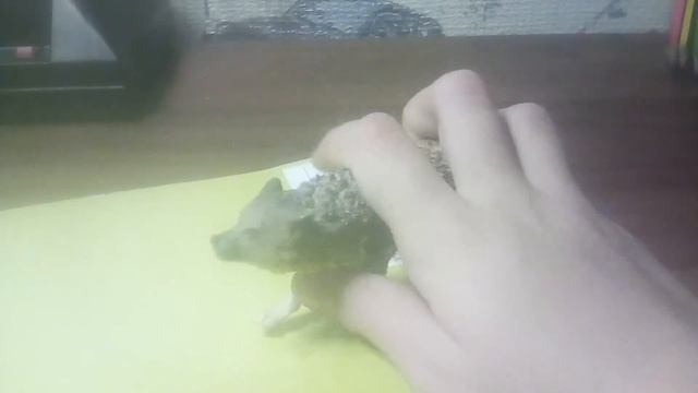 Важная информация и рисунки смотреть онлайн