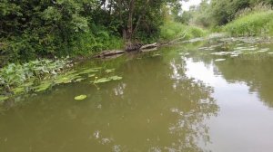«Таракан» на коленке не хуже японского. Приманка для капризного голавля.