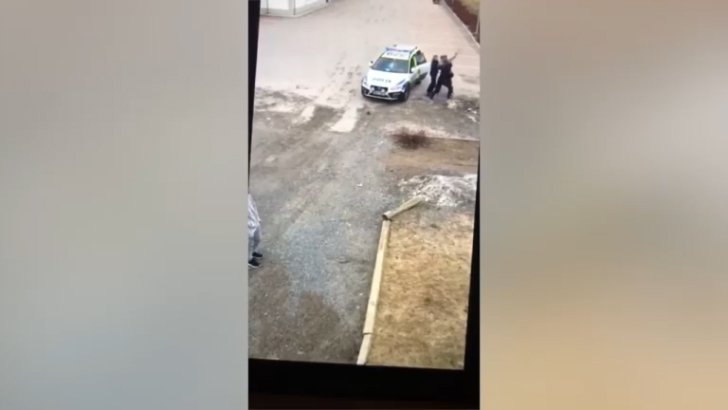 Шведская полиция