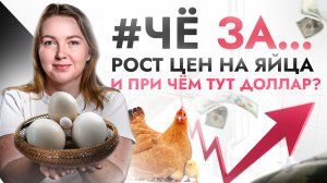 ?ЧёЗА… Куриные ЯЙЦА дорожают — первый звоночек к... Что нас ждет дальше и причем тут ДОЛЛАР?