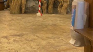 Остров мечты КАК Сэкономить на билетах? Обзор Острова мечты Москва осень 2021