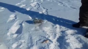 Рыбалка на озере Уткуль февраль 2020г.