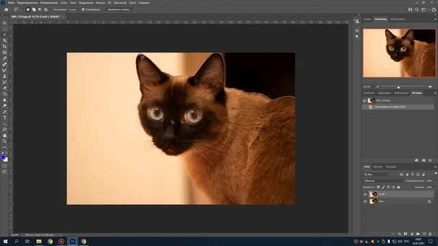 Photoshop 2021. Обзор инструмента лассо. смотреть онлайн