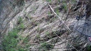 Ловля КАРАСЯ на БОКОВОЙ КИВОК. (Часть 2)