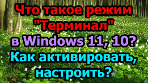 Что такое режим "Терминал" в Windows 11, 10? Как активировать, настроить?