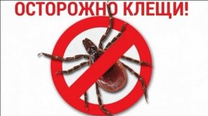 ДТ-15. Как защитить собаку от клещей.
