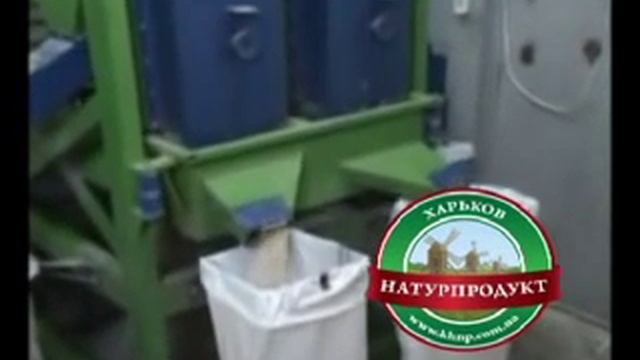 Производство семян тыквы, масла семян тыквы смотреть онлайн