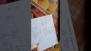 Составление родословных