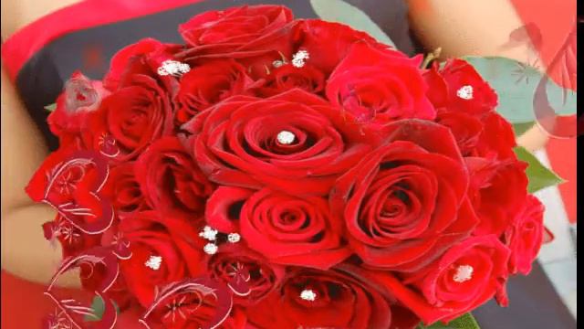 Для тебя любимая. смотреть онлайн