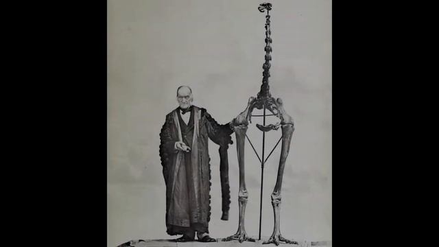Массовые вымирания в геологические эпохи. Почему происходит Эволюция жизни #Массовоевымирание