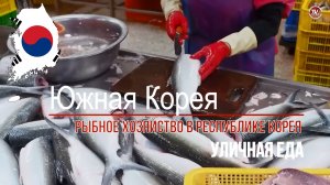 Уличная еда в Южной Корее - Рыбная промышленность Южной Кореи