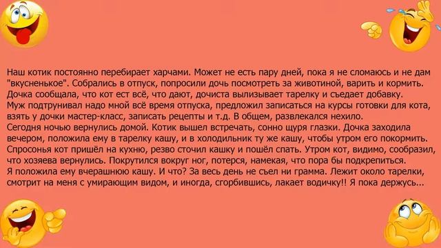 Анекдот про кота перебирающего харчами смотреть онлайн