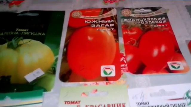 Не советую садить эти сорта томатов! смотреть онлайн