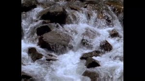 Убрать кладбищенскую порчу.  Работа с полевой структурой человека.Снятие порчи и сглаза. Здоровье.