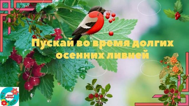 Золотая Осень к нам спешит!  Музыкальная открытка поздравление с осенью!