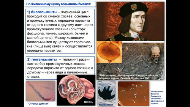 Лекция 13 по Биологии "Биологические основы паразитизма"