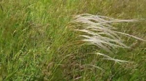 С мамой - Тамбовский район природа рыбалка