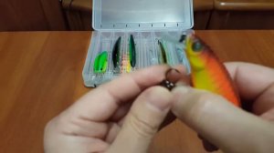 Unboxing с воблерами Megabass Vision 100 Miyabi и Lucky Craft FAT CB MR  по заказу Fmagazin.ru