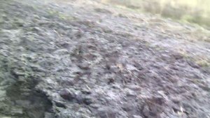ДонгФенг 244. Заміна датчика температури води.