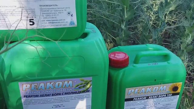 Листовая подкормка Бобовых. Питание микроудобрениями по Сое Гороху Реаком Бобовые.