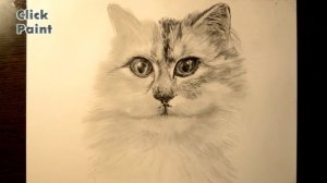 Как нарисовать  кошку   Рисуем КОТА простым карандашом. / Cat drawing