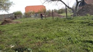STIHL FS 490 C-EM the first one mowing test