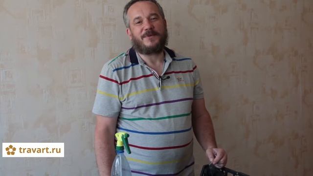 Стевия как вырастить. Стевия из семян. Стевия в домашних условиях. ТРАВАРТ #2102 Животворец смотреть онлайн