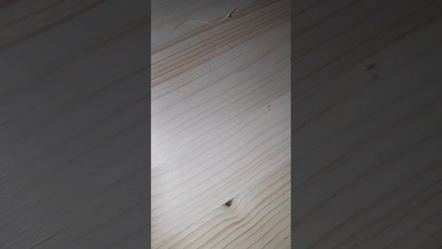 Подготовка деталей к покраске, шпатлевание. Пороки древисины, как их убрать. Установка дверей. смотреть онлайн