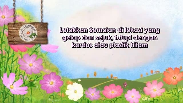 Cara Menanam Benih Cosmos смотреть онлайн