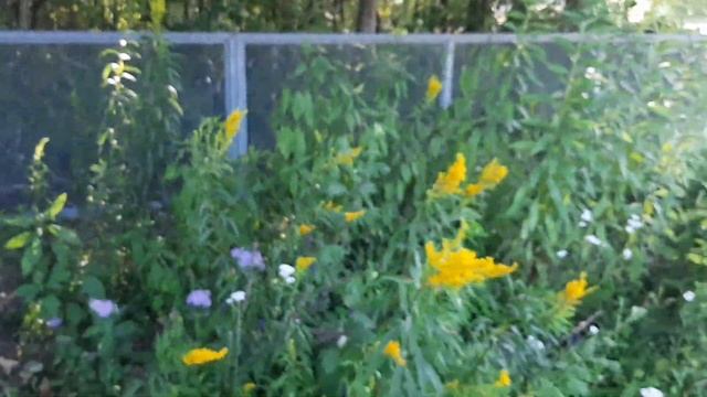 Последние #новости о Короновирусе из Канады отмена масочнового режима и бесплатный массаж? смотреть онлайн